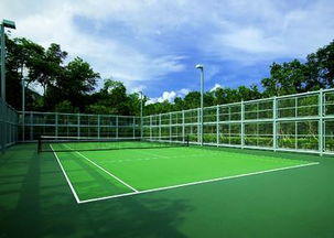 网球场地分哪几种类型