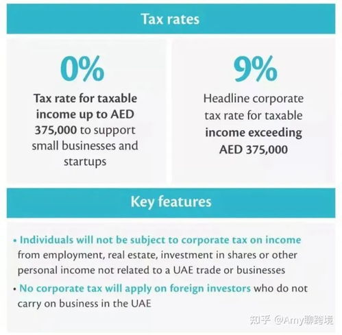 跨国企业税收政策