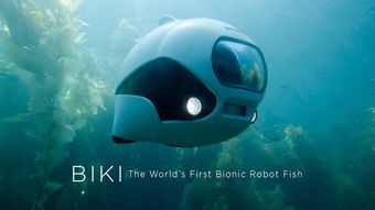 水下无人机：颠覆你的想象，引领全球科技潮流！
