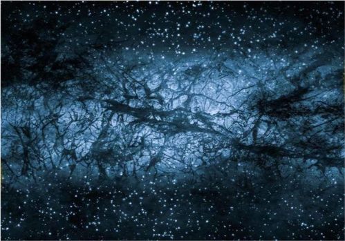 暗物质研究的最新成果，突破：揭示宇宙的神秘面纱