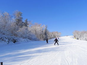 哈尔滨亚布力滑雪场：冰雪奇缘的完美旅程