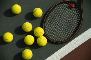 网球运动比赛规则
