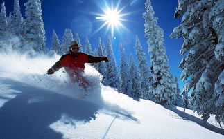 滑雪胜地的旅游攻略有哪些
