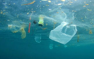 海洋塑料污染成因和影响