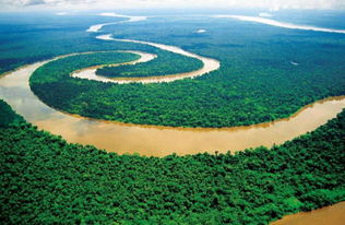 巴西雨林的开发与保护