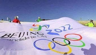冬奥会比赛7大项目有什么