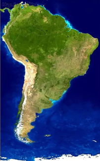 南美洲经济有什么特点和作用