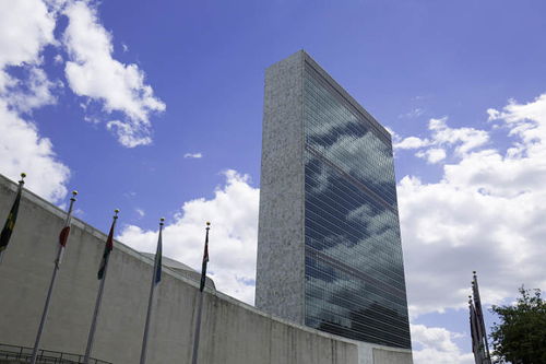 联合国安理会轮值国几年