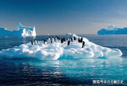 南极冰川融化会发生什么后果
