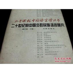 中国少数民族语言使用现状及其演变研究
