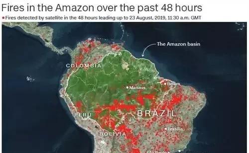 巴西雨林的环境效益