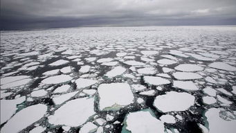 南极冰川融化是不是谣言