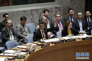 联合国安理会一致通过关于什么的决议