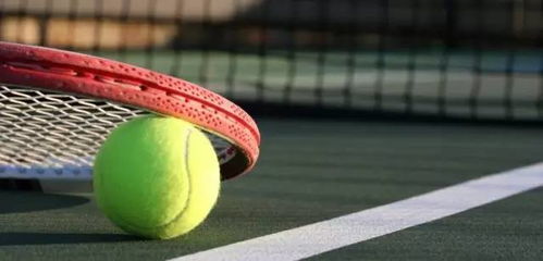 网球职业球员和业余球员差距