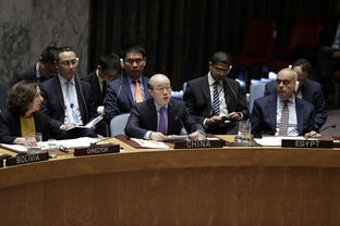 联合国安理会最新决议 奋锐党