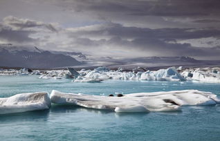 南极冰川融化的影响