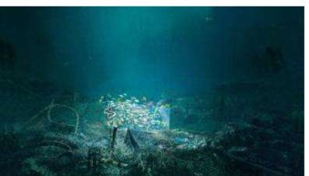 谈一谈海洋塑料污染现状，危害,如何防止海洋塑料污染?